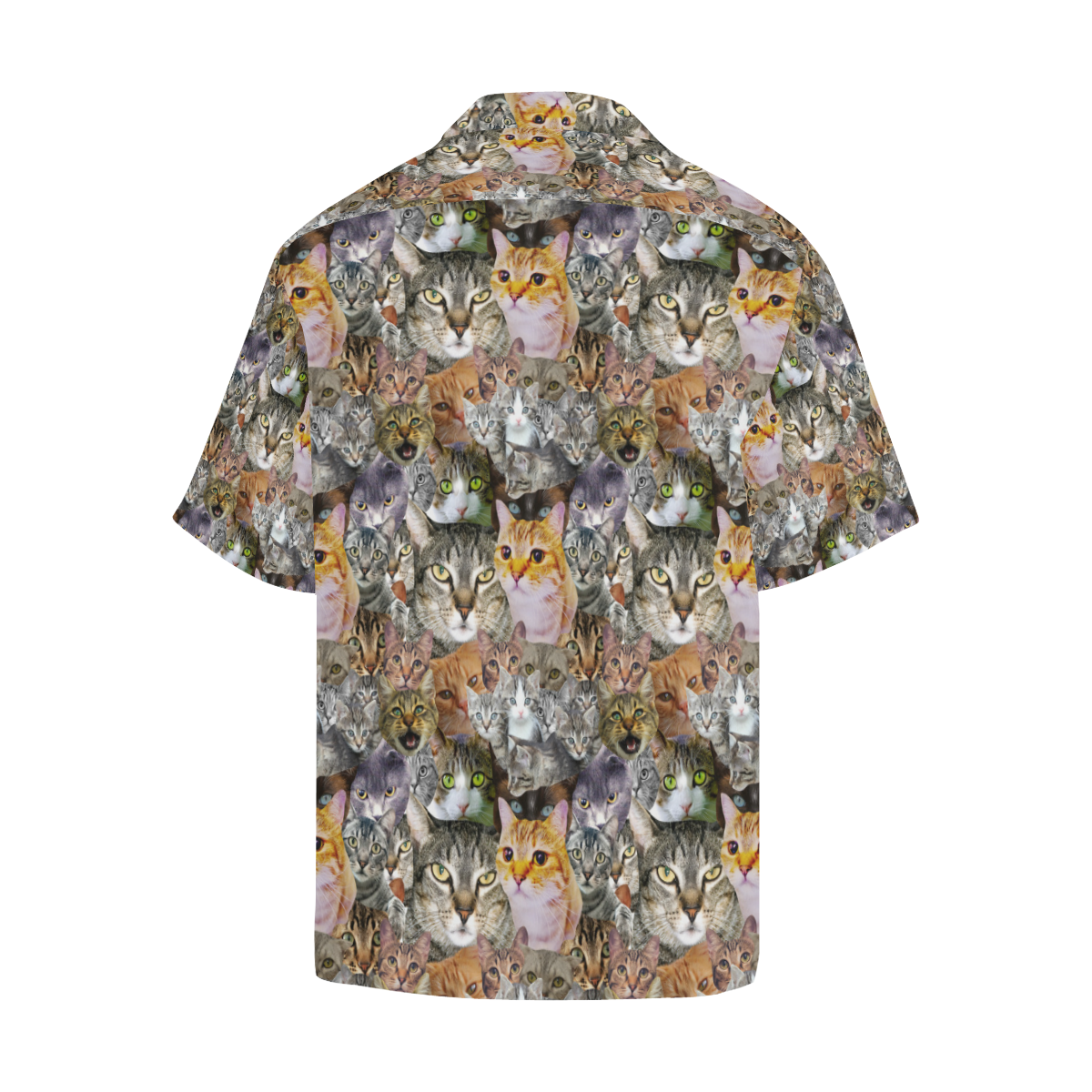 Cat pattern Hawaiian Shirt (Model T58)