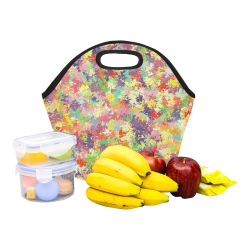 colorful pattern Neoprene Lunch Bag/Small (Model 1669)