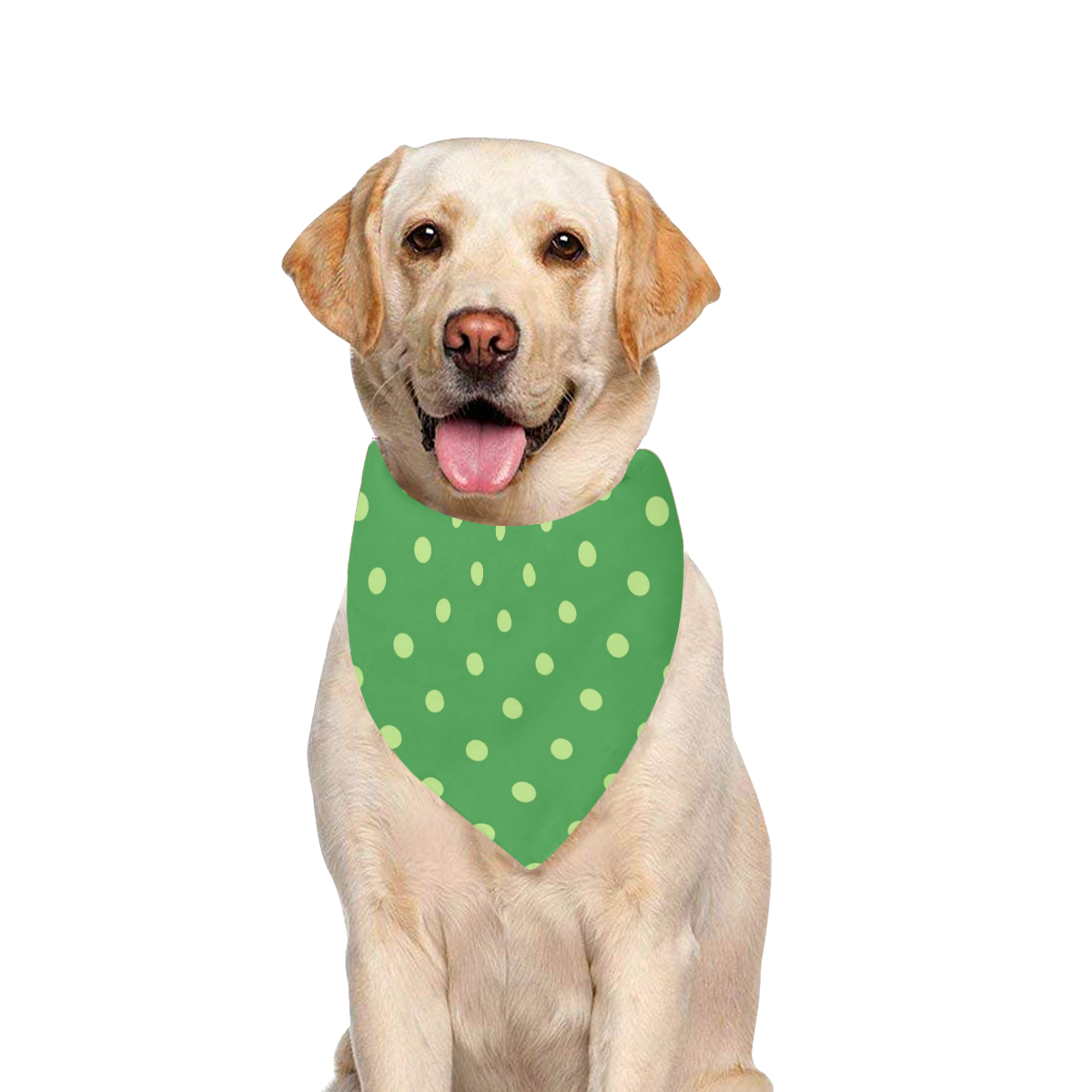 Green Polka Dots Pet Dog Bandana/Large Size