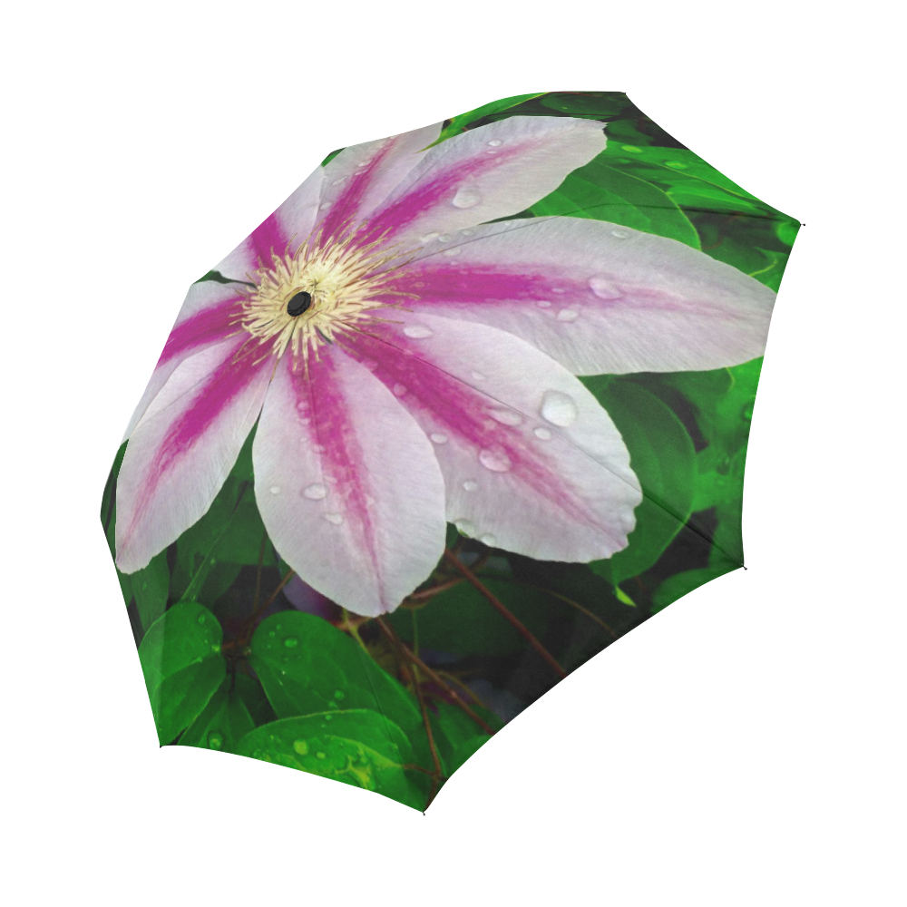 Beautiful Floral Wet Look Umbrella Auto-Foldable Umbrella (Model U04)