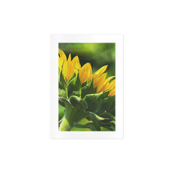 Sunflower New Beginnings Art Print 7‘’x10‘’