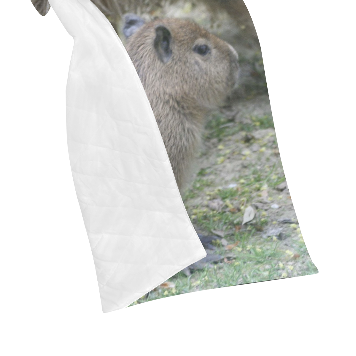 capybara baby Quilt 50"x60"