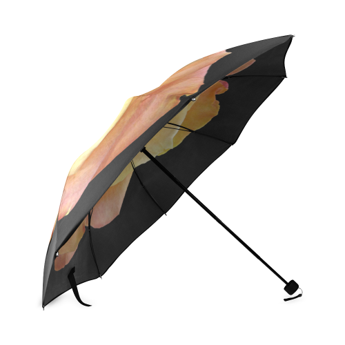 Salmon rose Foldable Umbrella (Model U01)