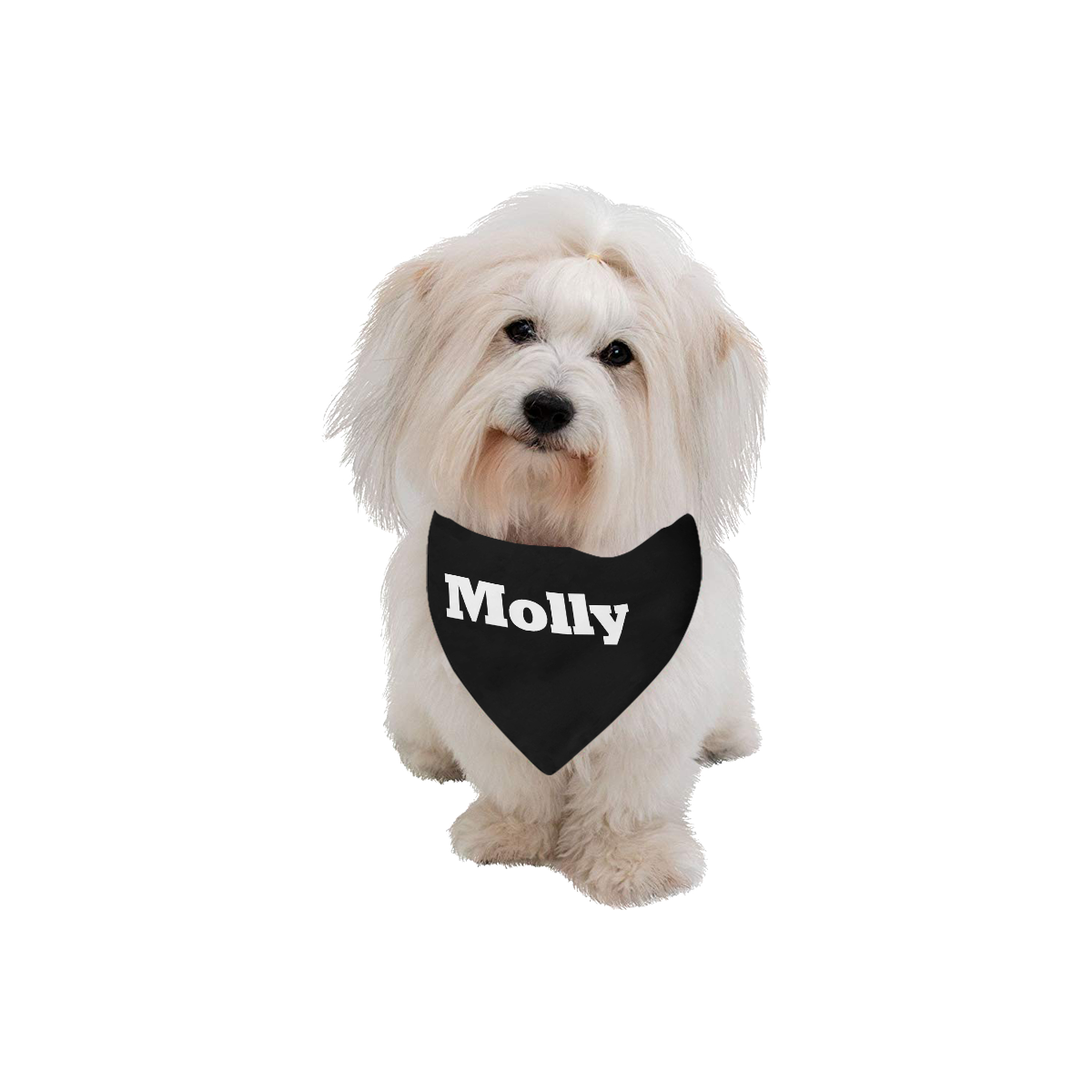 Molly Pattern by K.Merske Pet Dog Bandana/Large Size