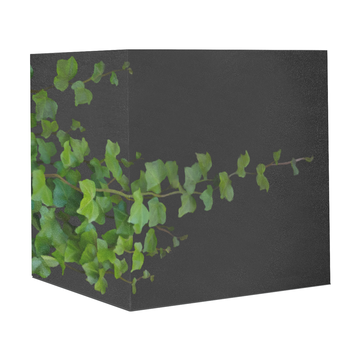 Vines, climbing plant watercolor - black Gift Wrapping Paper 58"x 23" (5 Rolls)