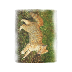 Funny Kitten Ultra-Soft Micro Fleece Blanket 40"x50"