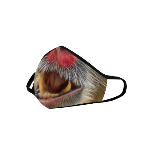 An Awesome Colorful Mandrill Mouth Mask