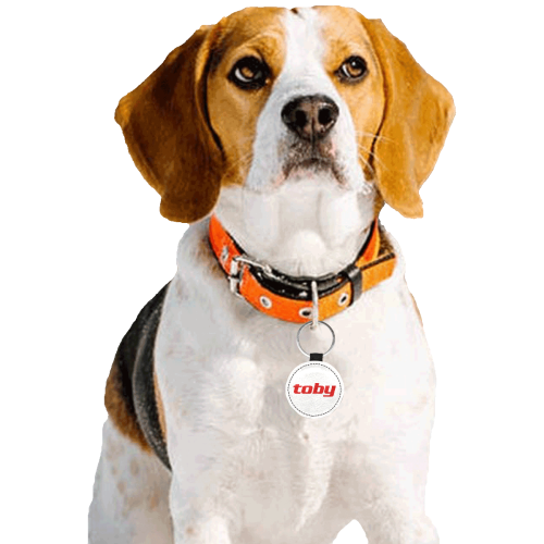 placa para mascota la personalizamos Round Pet ID Tag