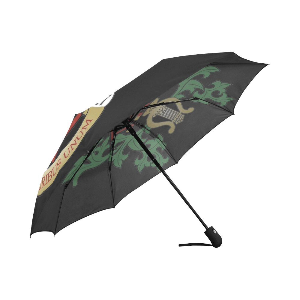 DNO Auto-Foldable Umbrella (Model U04)