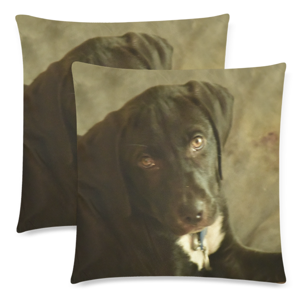 Puppy dog named Zeus - Isabela PR - ID:DSC0284 Custom Zippered Pillow Cases 18"x 18" (Twin Sides) (Set of 2)