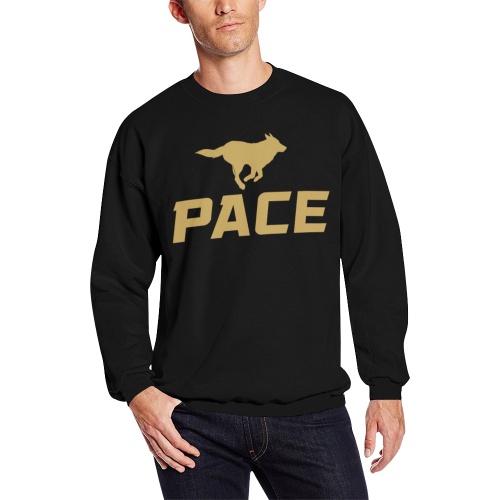PACE Mens Sweater All Over Print Crewneck Sweatshirt for Men (Model H18)