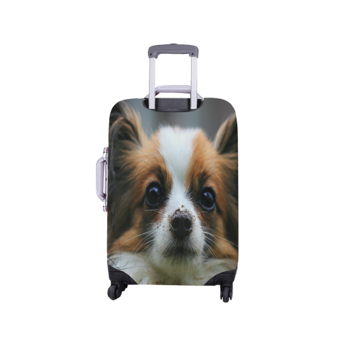 Papillon Luggage Cover/Small 18"-21"