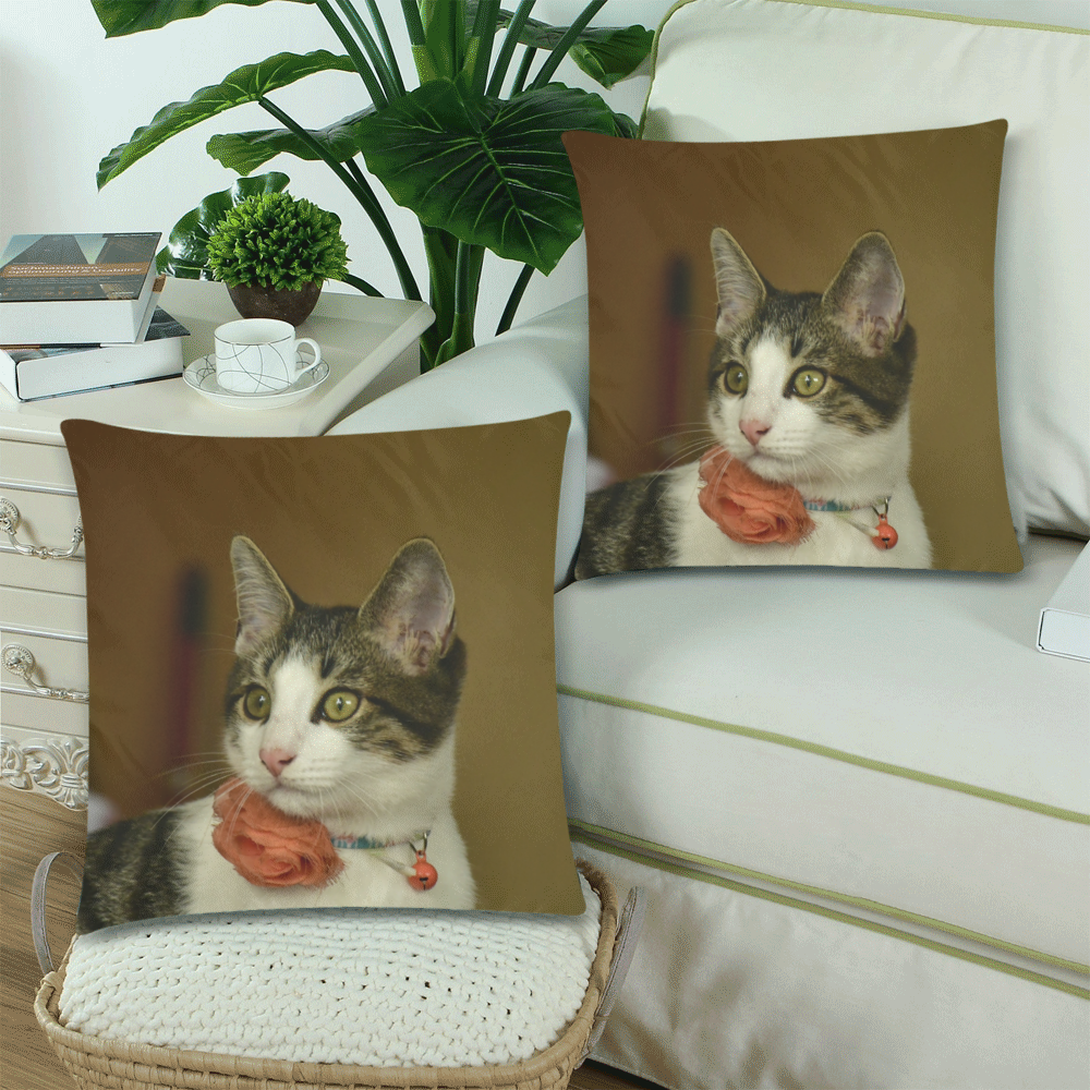 The young cat named Dante - Isabela Puerto Rico - ID:DSC0242 Custom Zippered Pillow Cases 18"x 18" (Twin Sides) (Set of 2)