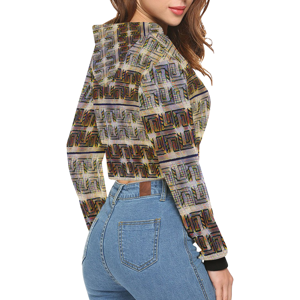 Canals2 All Over Print Crop Hoodie for Women (Model H22)