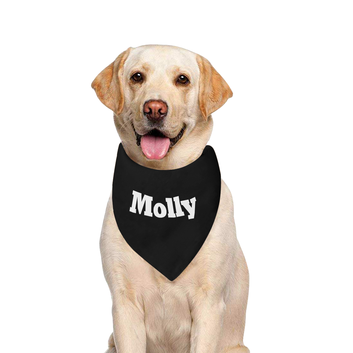 Molly Pattern by K.Merske Pet Dog Bandana/Large Size