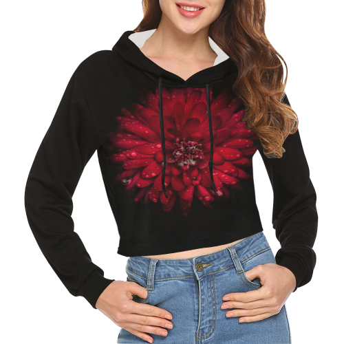 All Over Print Crop Hoodie for Women (Model H22) All Over Print Crop Hoodie for Women (Model H22)
