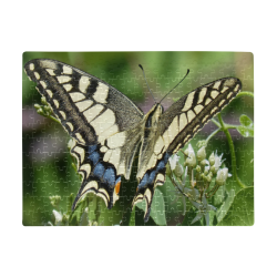 Butterfly 2 A3 Size Jigsaw Puzzle (Set of 252 Pieces)