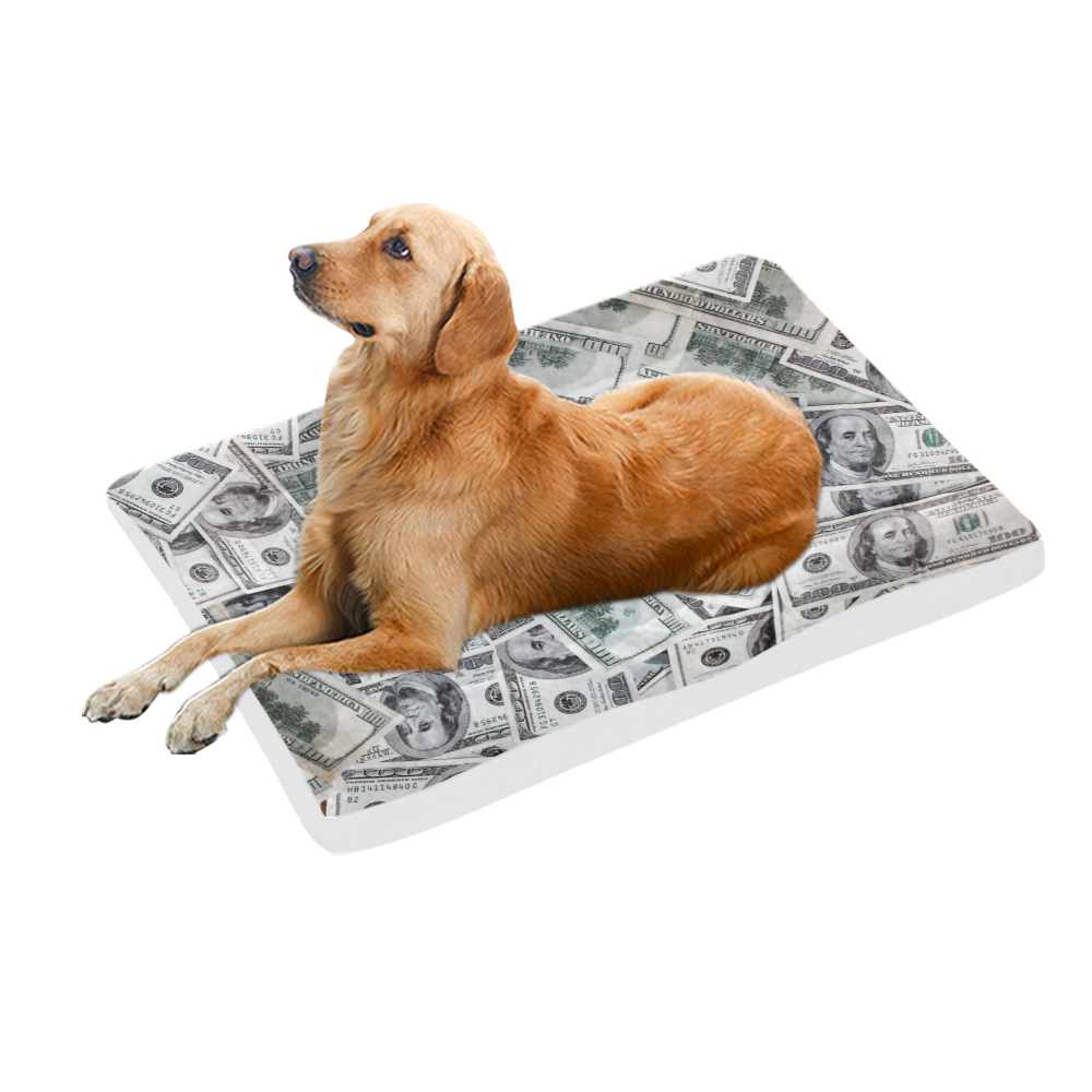 Cash Money / Hundred Dollar Bills Pet Bed 54"x37"