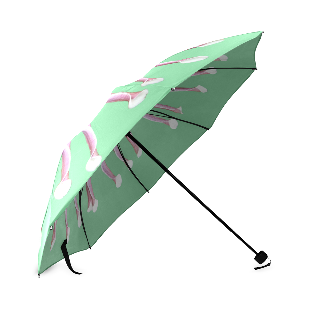 daisy_10 Foldable Umbrella (Model U01)