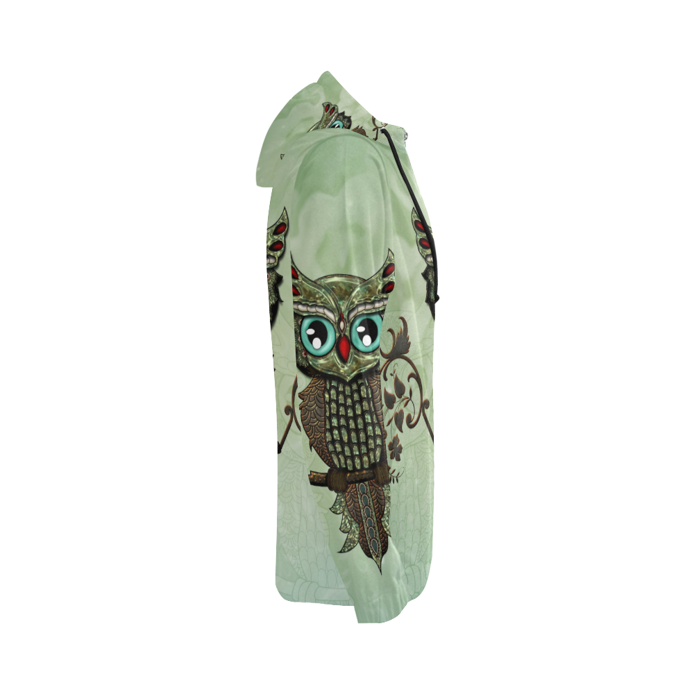 Wonderful owl, diamonds All Over Print Full Zip Hoodie for Women (Model H14)