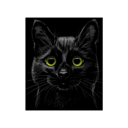 Black Cat Poster 20"x24"
