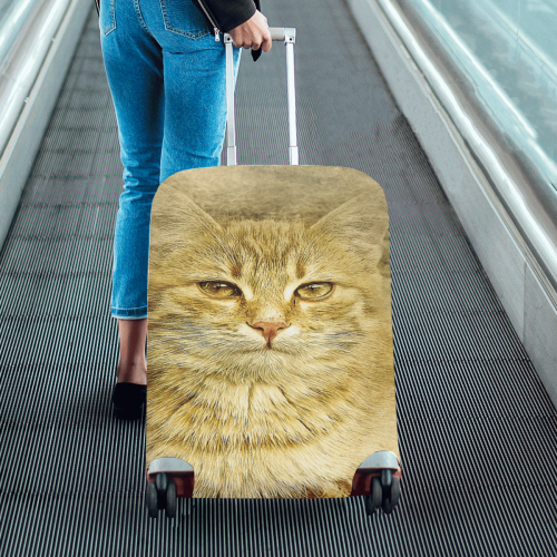 Orange Tabby Cat Luggage Cover/Medium 22"-25"