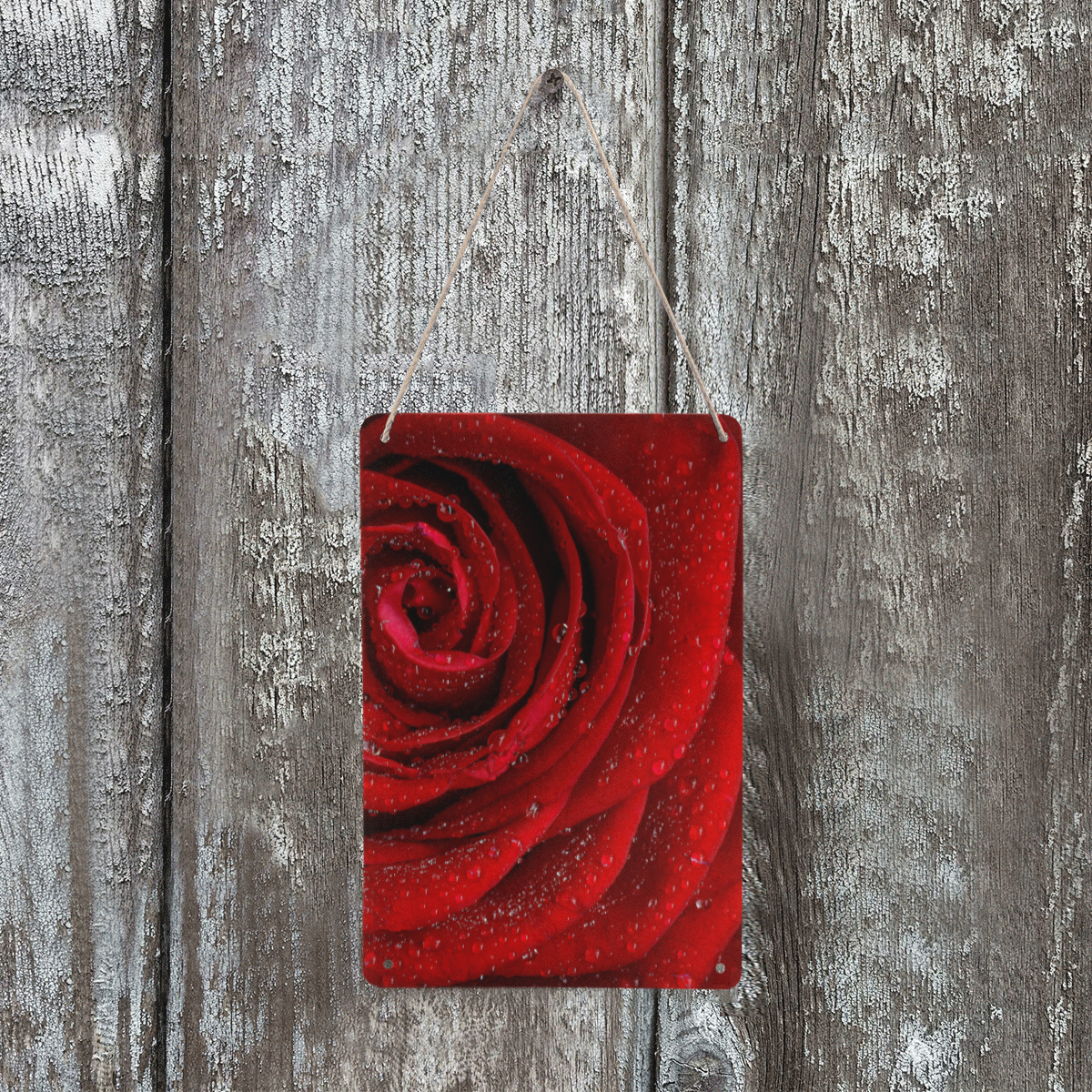 Red rosa Metal Sign 8"x12"