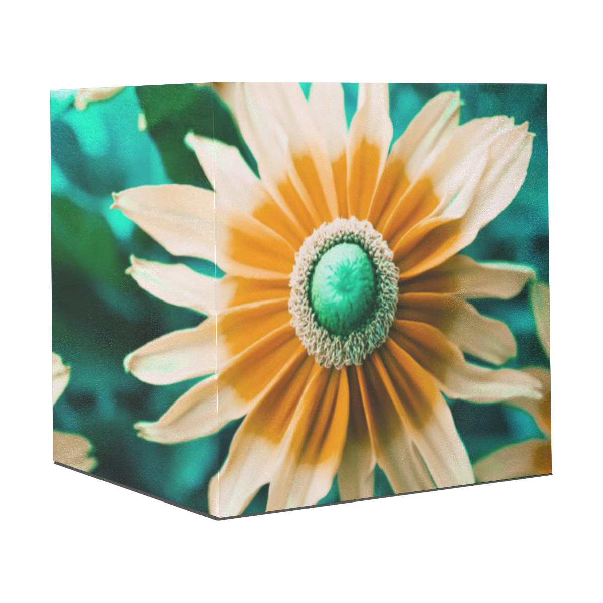 Yellow Orange Flower on Turquoise Green Photo Gift Wrapping Paper 58"x 23" (1 Roll)