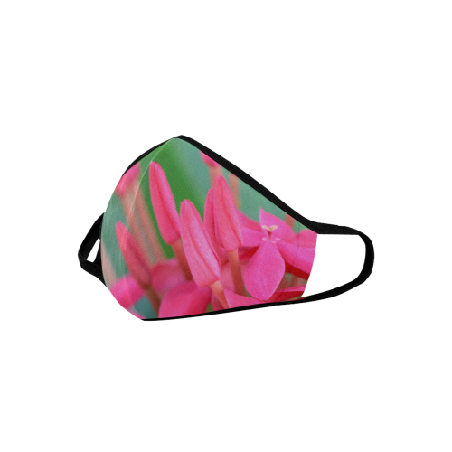 Pink Petals Mouth Mask