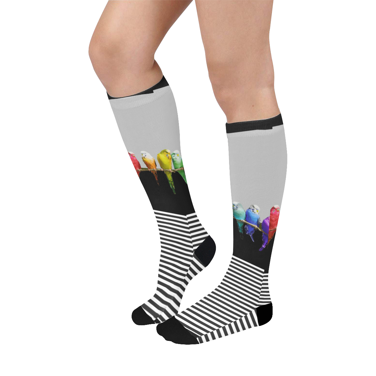 Rainbow Budgies Over-The-Calf Socks