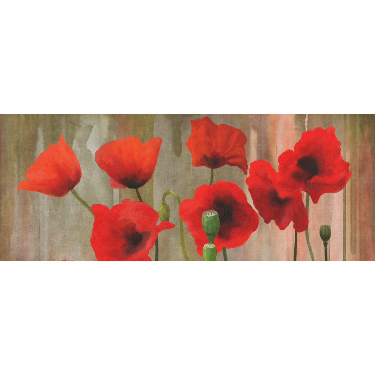 Poppies Gift Wrapping Paper 58"x 23" (1 Roll)