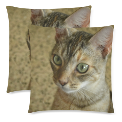 The cat Mimi - Dantes Mother - in Isabela PR - ID:DSC0291 - Copy Custom Zippered Pillow Cases 18"x 18" (Twin Sides) (Set of 2)