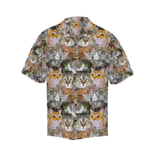 Cat pattern Hawaiian Shirt (Model T58)
