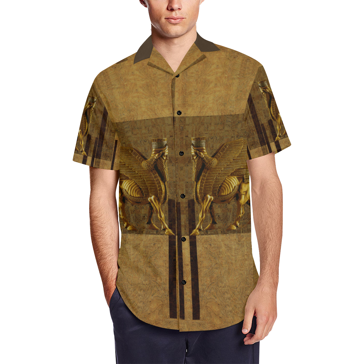 Lamassu Brown Men's Short Sleeve Shirt with Lapel Collar (Model T54)