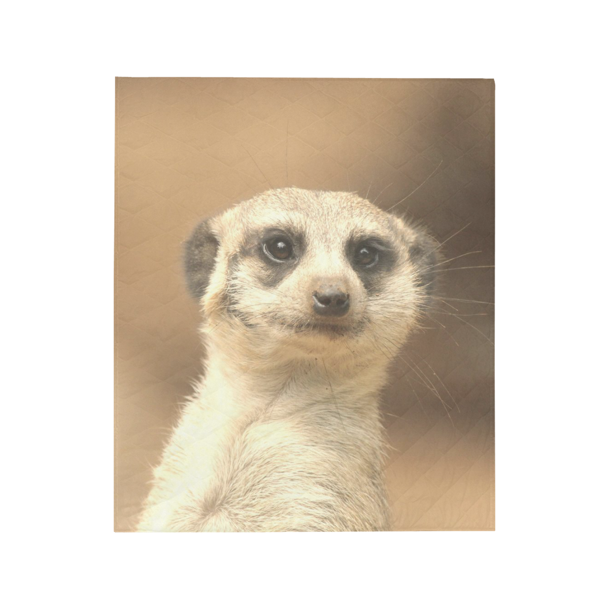 cute meerkat Quilt 50"x60"