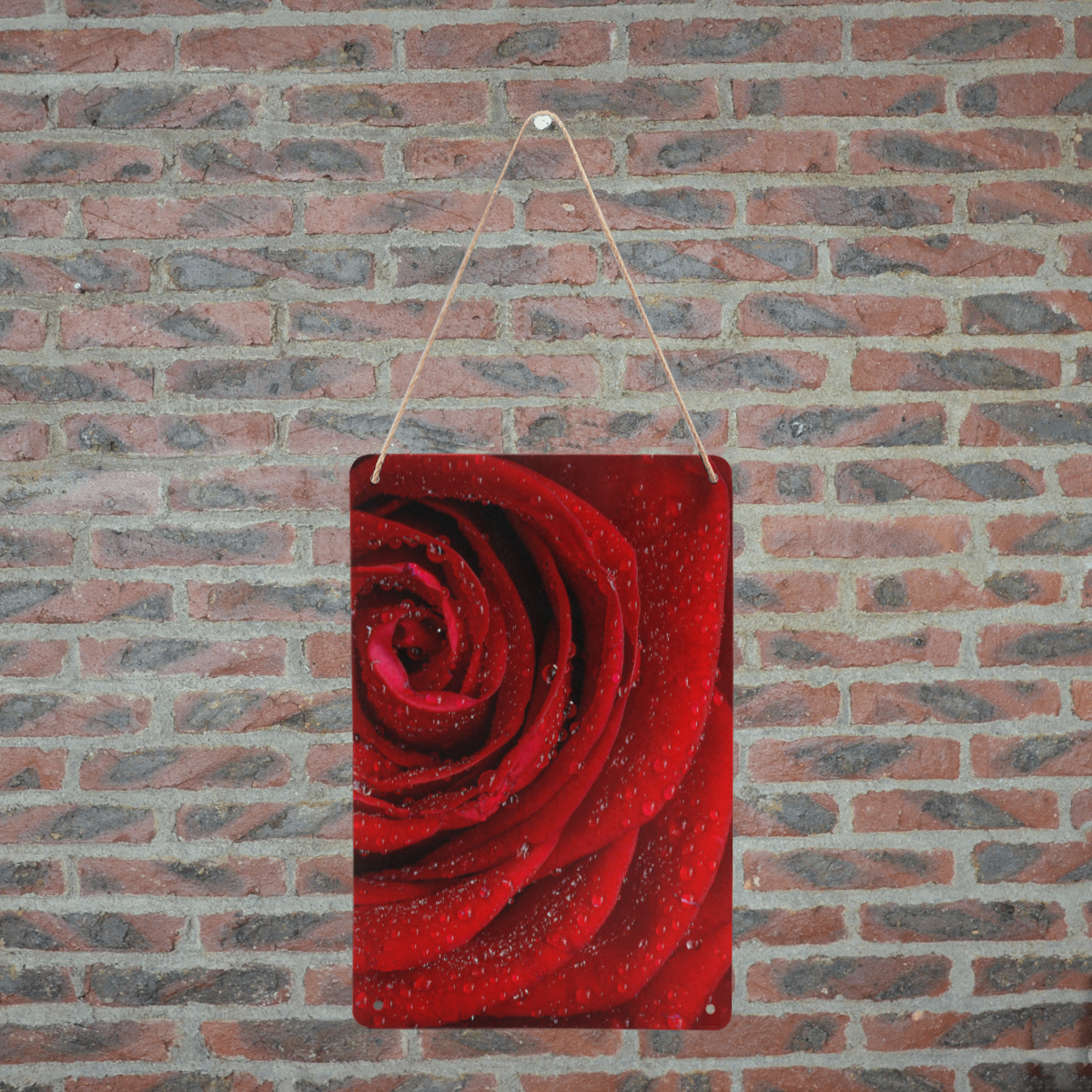 Red rosa Metal Sign 8"x12"