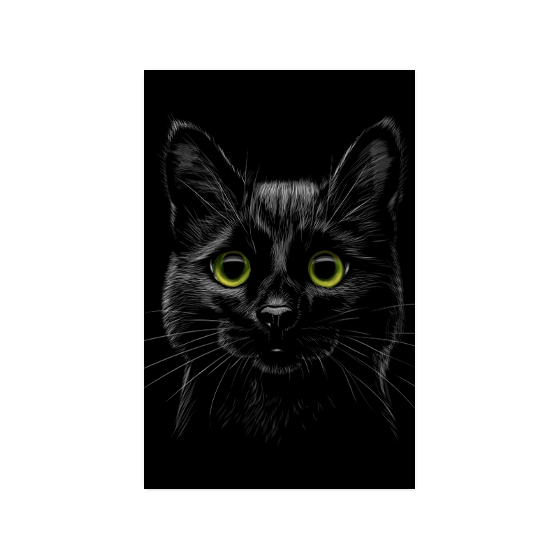 Black Cat Poster 11"x17"
