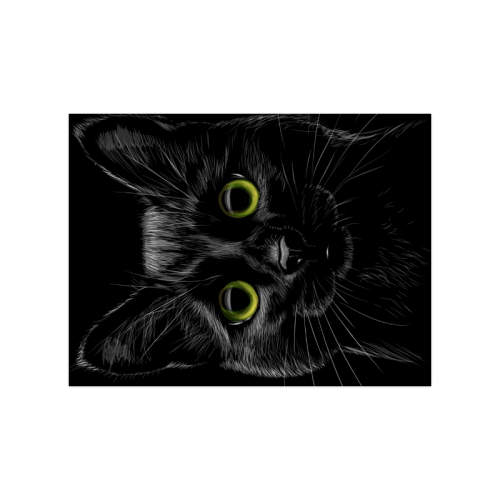 Black Cat Poster 18"x24"