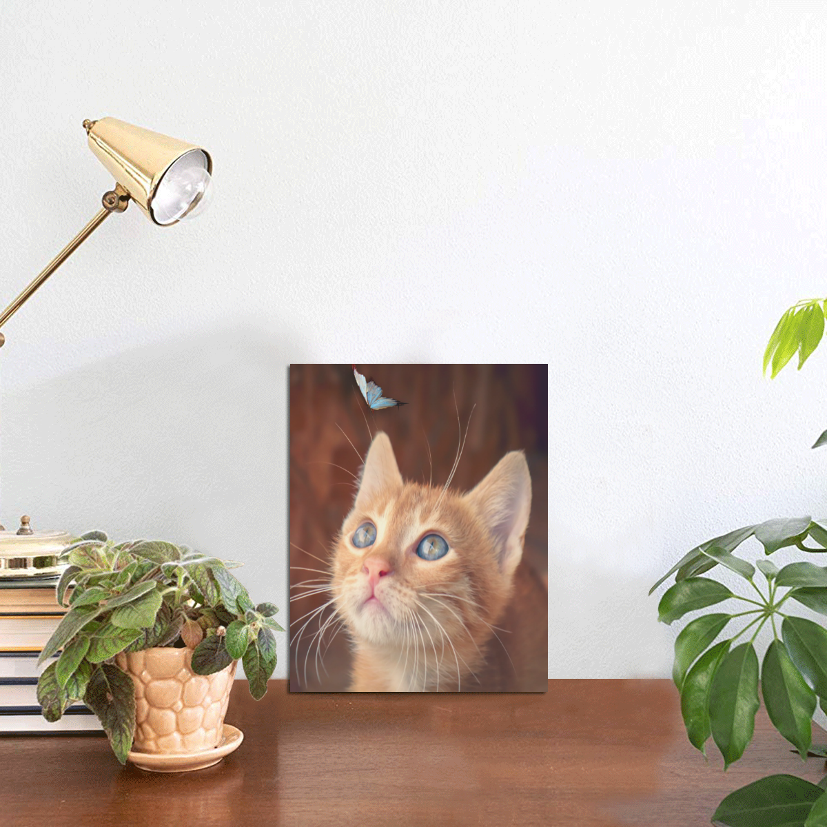 Orange Tabby And Butterfly Photo Panel for Tabletop Display 6"x8"