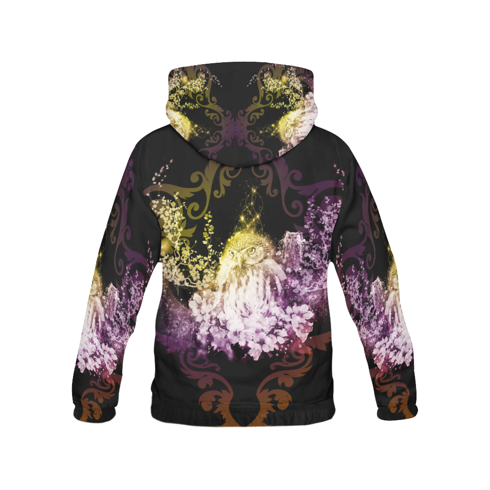 Colorful owls All Over Print Hoodie for Men (USA Size) (Model H13)