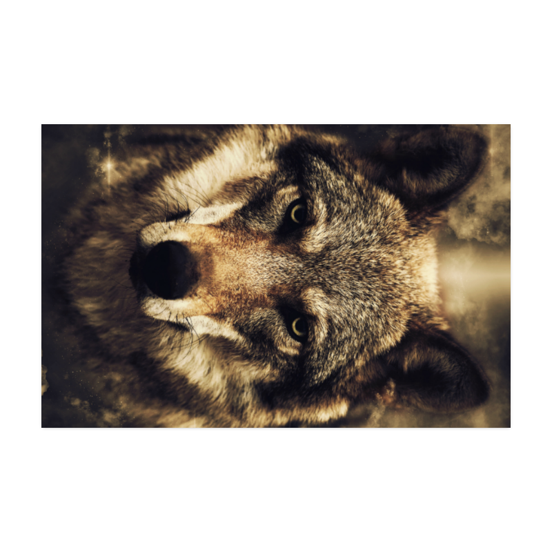 Wolf 2 Animal Nature Poster 22"x34"